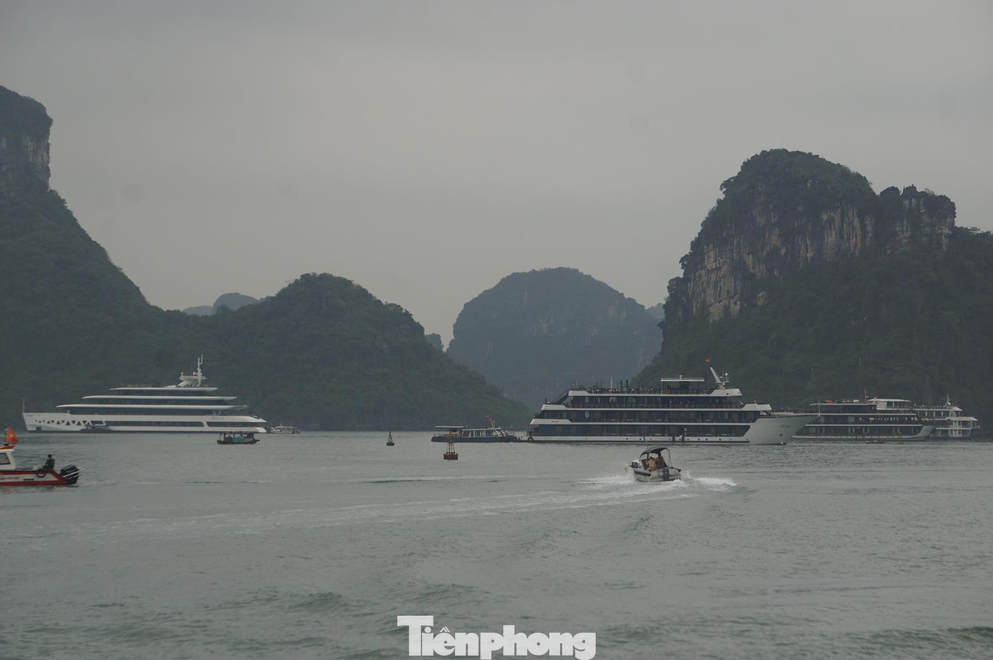 Ảnh: Nguyễn Hoàn