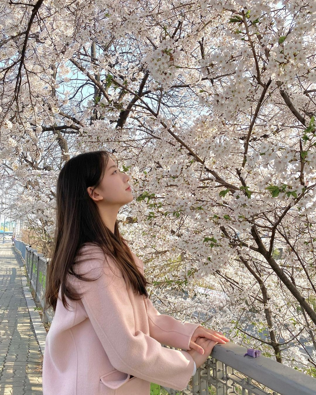 Kim Min chia sẻ khoảnh khắc ngắm hoa anh đào.