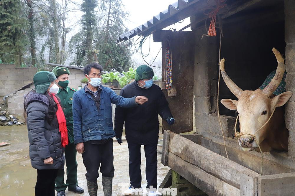 Không chỉ thực hiện nhiệm vụ phòng chống dịch, cán bộ chiến sỹ Đồn Biên phòng còn tăng cường đến các thôn, bản tuyên truyền, vận động nhân dân chủ động các biện pháp phòng, chống đói rét cho đàn gia súc khi nhiệt độ xuống thấp.