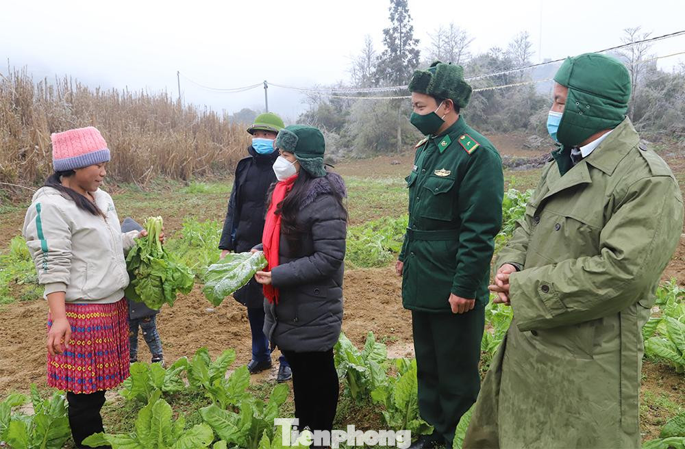 Đại diện Đồn Biên phòng và lãnh đạo huyện vận động người dân chăm sóc hoa màu trước thời tiết lạnh giá