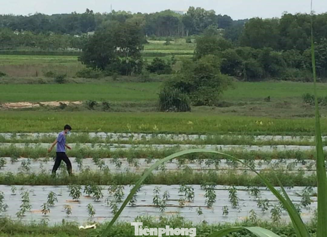 Lực lượng chức năng khám nghiệm hiện trường