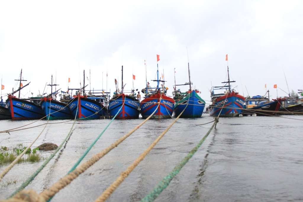 Tại Âu thuyền Thọ Quang có trên 650 phương tiện và tiếp tục tiếp nhận các phương tiện đang tiếp tục di chuyển vào. Khu vực vịnh Mân Quang: 270 tàu