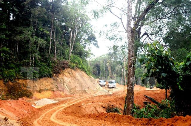 Khác với những quốc lộ dọc ngang đất nước, khi mở đường, nhà thiết kế được phép tránh núi cao, rừng sâu nên giảm bớt nhiều đèo dốc