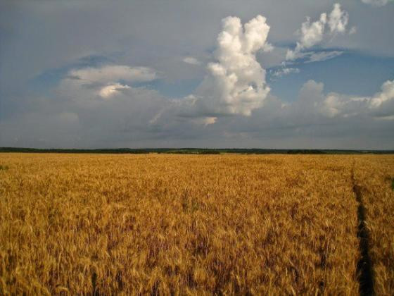 Khủng hoảng Ukraine và nước bài trục lợi của Trung Quốc ảnh 2