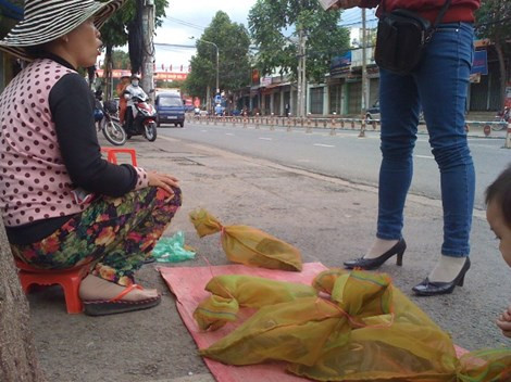 Tá hỏa rắn độc tràn xuống đường phố Biên Hòa ảnh 2