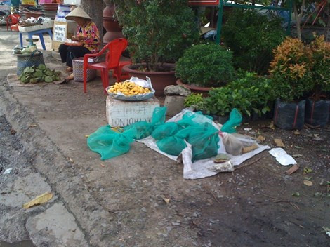 Tá hỏa rắn độc tràn xuống đường phố Biên Hòa ảnh 3