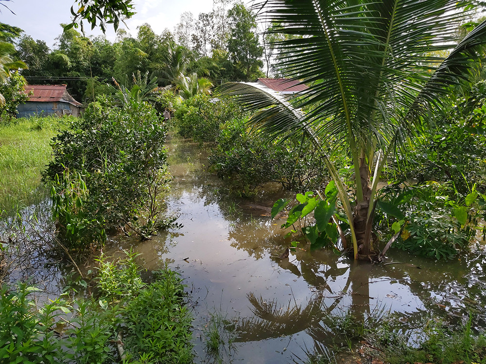 Người Cần Thơ vật lộn trong biển nước, học sinh tiếp tục được nghỉ học ảnh 14