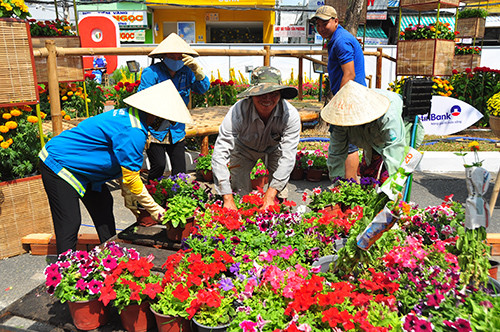 Cận cảnh đường hoa Cần Thơ làm từ 80.000 chậu hoa tươi ảnh 7