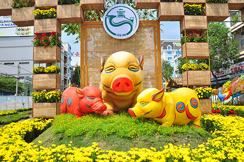 Cận cảnh đường hoa Cần Thơ làm từ 80.000 chậu hoa tươi ảnh 4