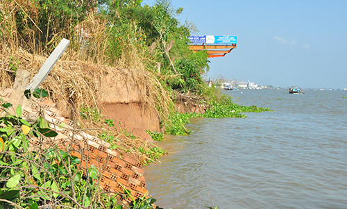 Hơn 50 người hỗ trợ dời nhà dân sau khi bờ sông Hậu sạt lở liên tiếp ảnh 6