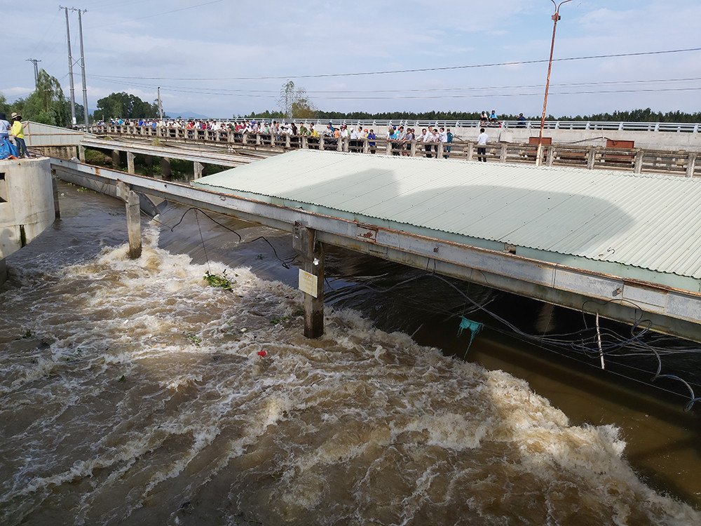 An Giang xả lũ đón phù sa từ thượng nguồn, dân hò reo phấn khởi ảnh 1