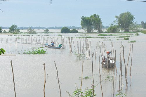 Nguy cơ xảy ra ngập lụt ở đầu nguồn lũ ảnh 3