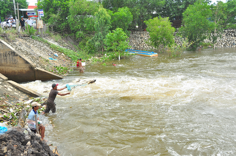 An Giang xả lũ đón phù sa từ thượng nguồn, dân hò reo phấn khởi ảnh 5
