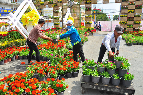 Cận cảnh đường hoa Cần Thơ làm từ 80.000 chậu hoa tươi ảnh 10