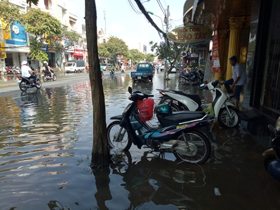 Triều cường lên cao, dân Cần Thơ bì bõm trong nước ảnh 4