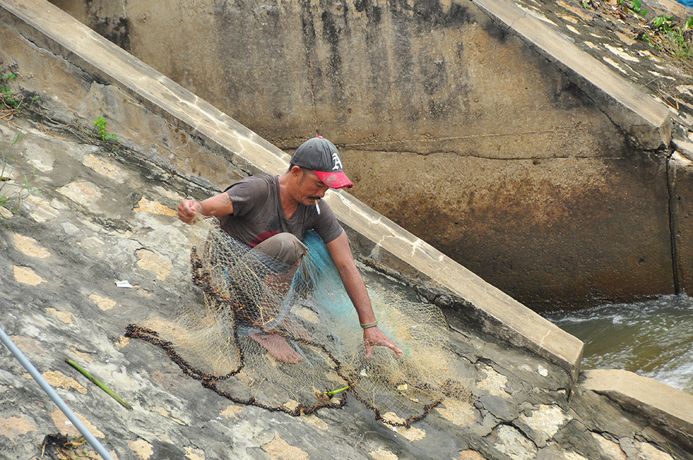 An Giang xả lũ đón phù sa từ thượng nguồn, dân hò reo phấn khởi ảnh 8