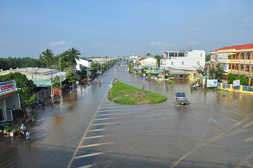 Dân miền Tây khổ sở vật lộn với triều cường ảnh 13