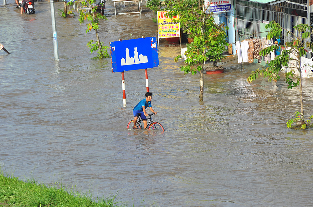 Dân miền Tây khổ sở vật lộn với triều cường ảnh 12