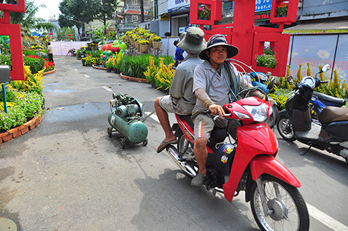 Cận cảnh đường hoa Cần Thơ làm từ 80.000 chậu hoa tươi ảnh 6