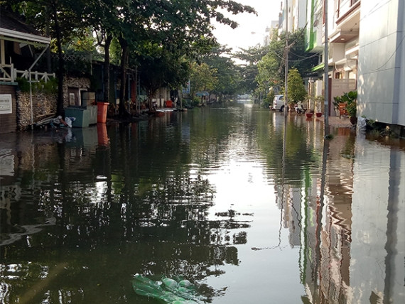 Triều cường lên cao, dân Cần Thơ bì bõm trong nước ảnh 2