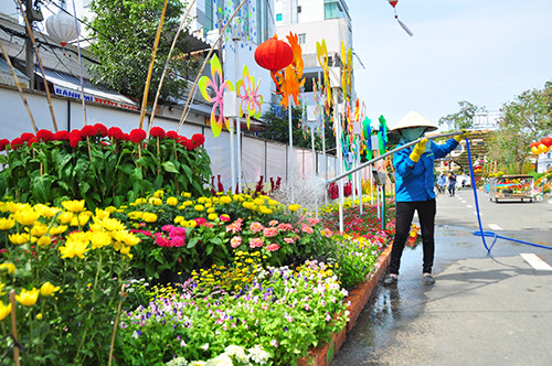 Cận cảnh đường hoa Cần Thơ làm từ 80.000 chậu hoa tươi ảnh 2