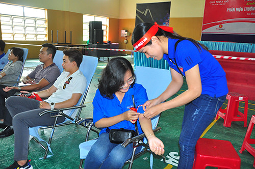 Giọt hồng nơi đất mũi ảnh 3