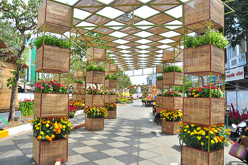 Cận cảnh đường hoa Cần Thơ làm từ 80.000 chậu hoa tươi ảnh 8