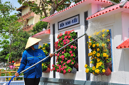 Cận cảnh đường hoa Cần Thơ làm từ 80.000 chậu hoa tươi ảnh 3