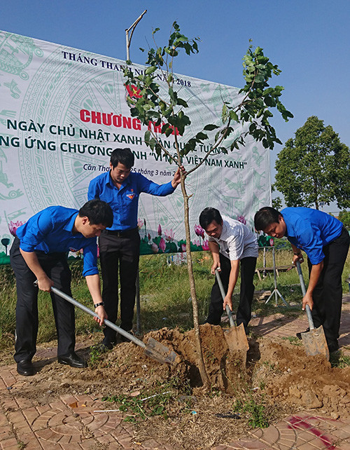 Nhiều hoạt động ý nghĩa Ngày Chủ nhật Xanh ở Cần Thơ ảnh 4