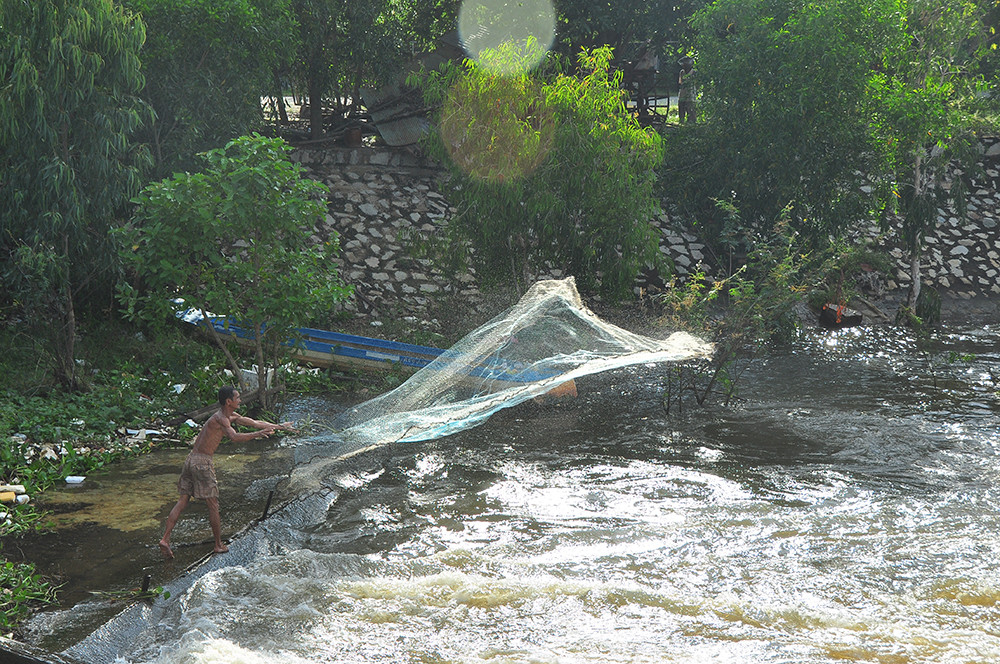 An Giang xả lũ đón phù sa từ thượng nguồn, dân hò reo phấn khởi ảnh 10