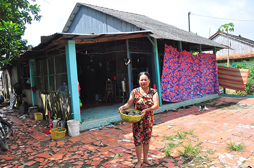 Lũ về Đồng Tháp sớm, hoa màu chết 'tức tưởi' ảnh 5