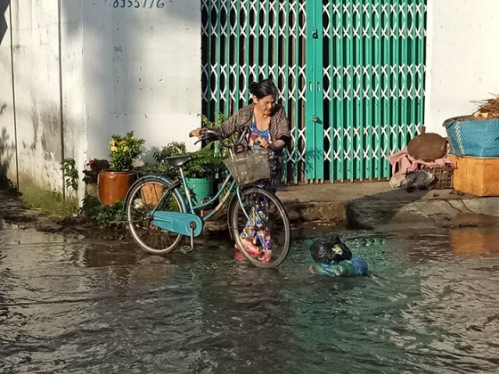 Đường biến thành sông, dân miền Tây 'bì bõm' đi lại ảnh 6