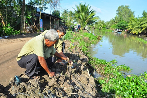 Trồng cây xanh vì hệ sinh thái bền vững ảnh 3