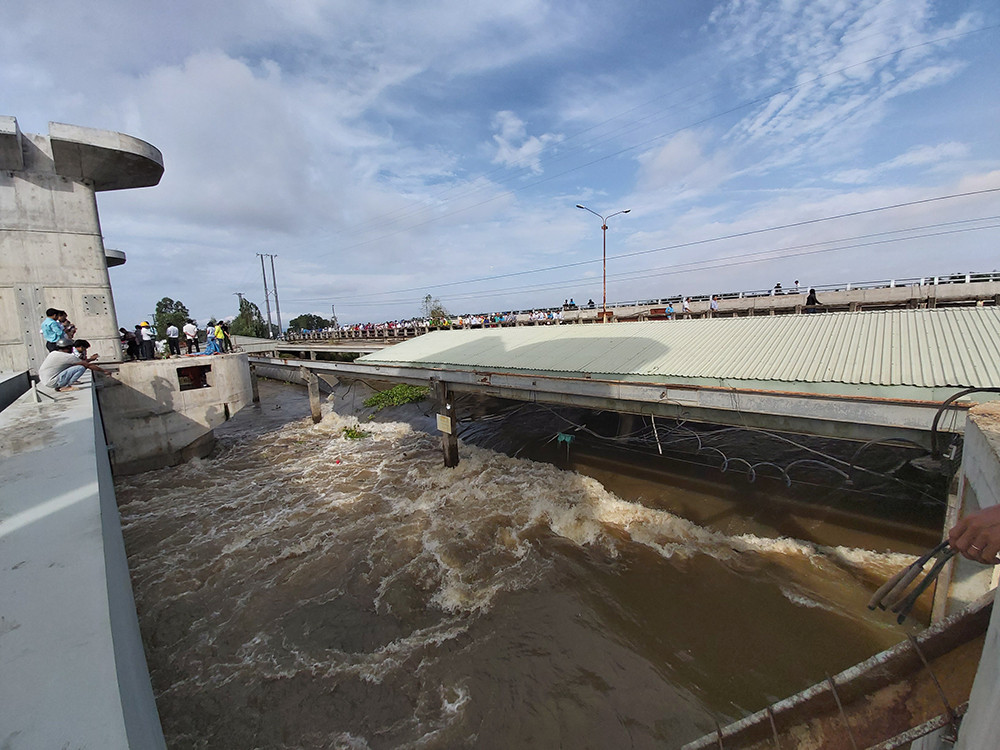 An Giang xả lũ đón phù sa từ thượng nguồn, dân hò reo phấn khởi ảnh 2