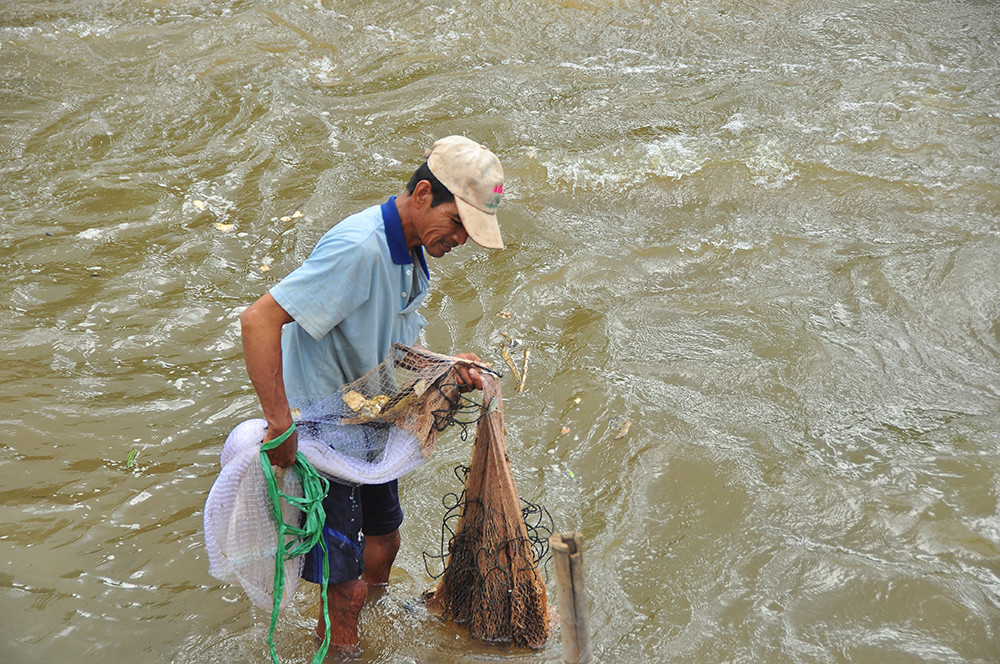 An Giang xả lũ đón phù sa từ thượng nguồn, dân hò reo phấn khởi ảnh 6