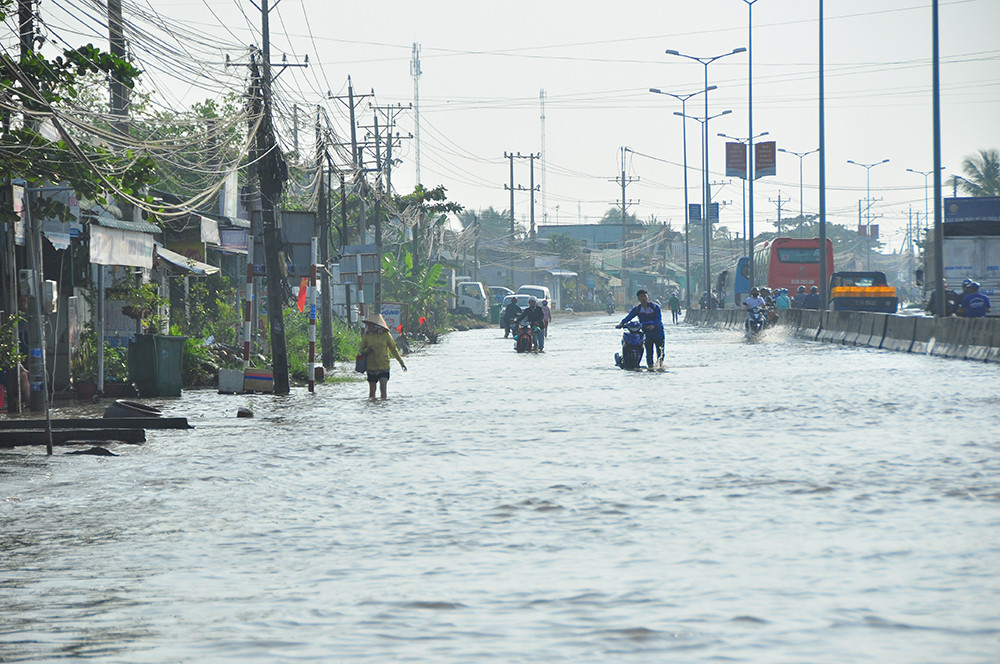 Dân miền Tây khổ sở vật lộn với triều cường ảnh 9