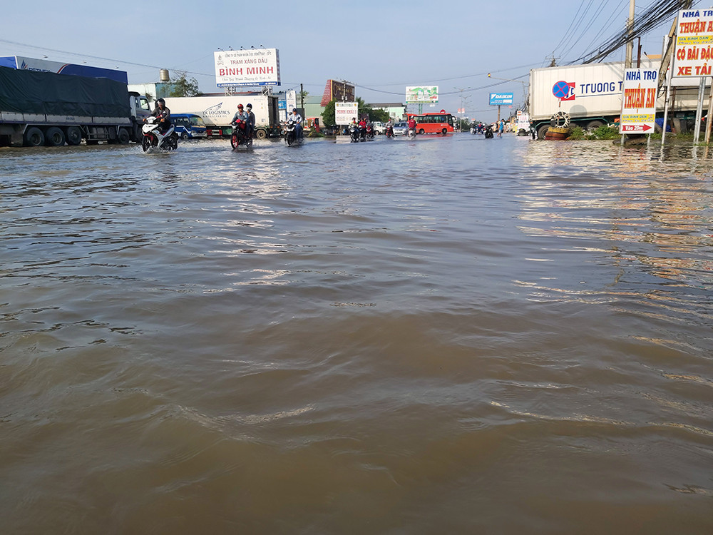 Dân miền Tây khổ sở vật lộn với triều cường ảnh 8