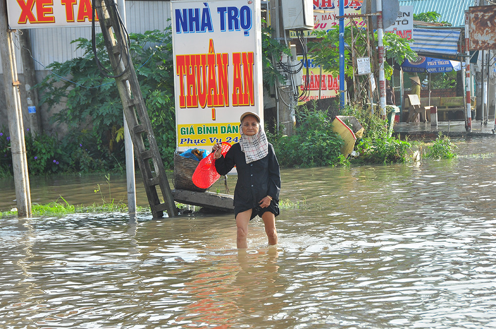 Dân miền Tây khổ sở vật lộn với triều cường ảnh 10