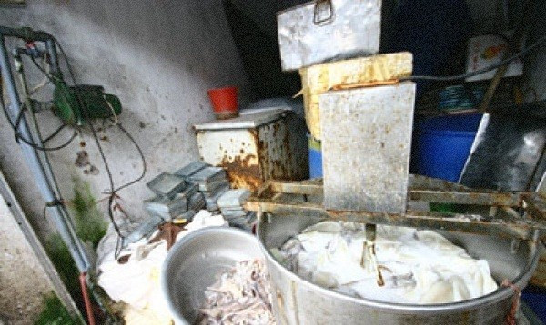 Một chiêu trò lừa đảo tinh vi hơn đó là công nghệ phục chế mực 