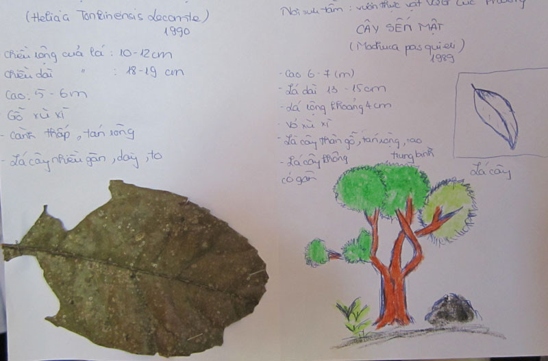 Những thông tin mà các bạn trẻ thu được sau kỳ trải nghiệm ở Vườn Quốc gia Cúc Phương