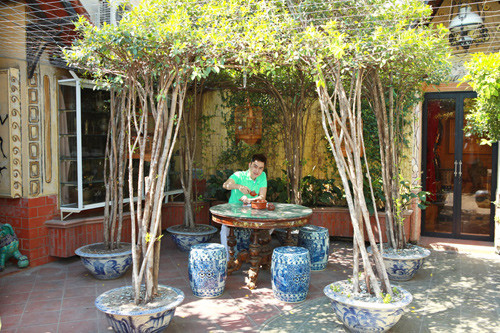 Cái mái đình nhỏ được làm bằng cây kiểng khá lạ mắt, nhìn vào không ai nghĩ nhà anh nằm ở quận 1, ngay trung tâm Sài Gòn