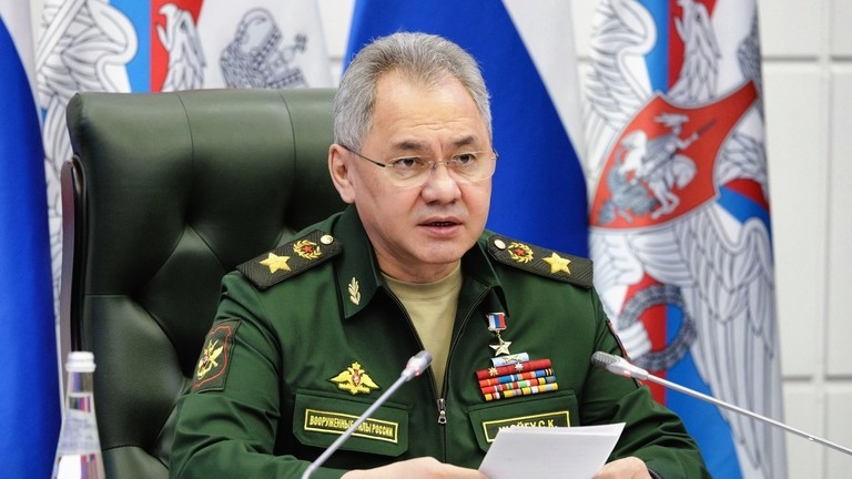 Bộ trưởng Quốc phòng Nga Sergey Shoigu. (Ảnh: Sputnik)