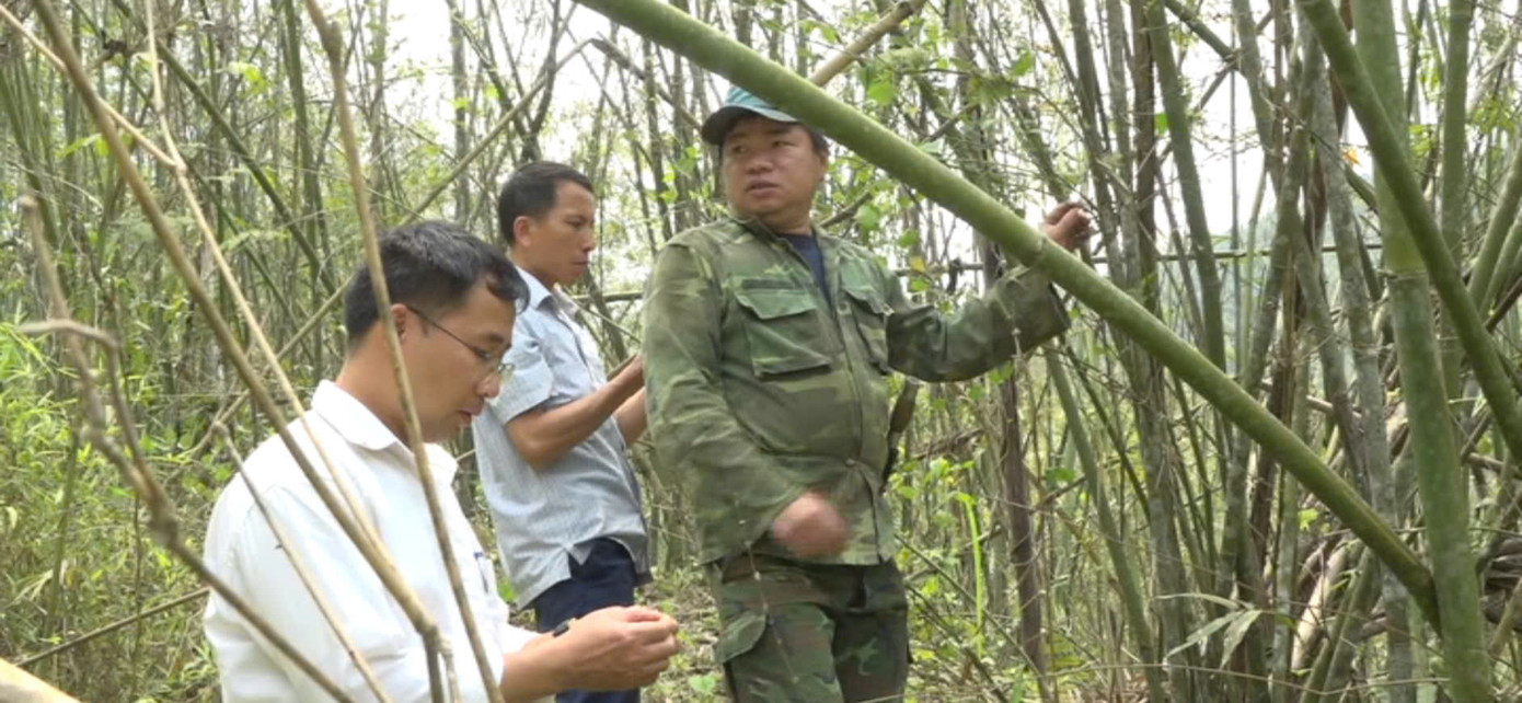 Đồng thời với việc tuyên truyền người dân phòng cháy rừng, chính quyền địa phương đưa nhiều giải pháp tạo sinh kế cho người dân, đảm bảo cuộc sống.