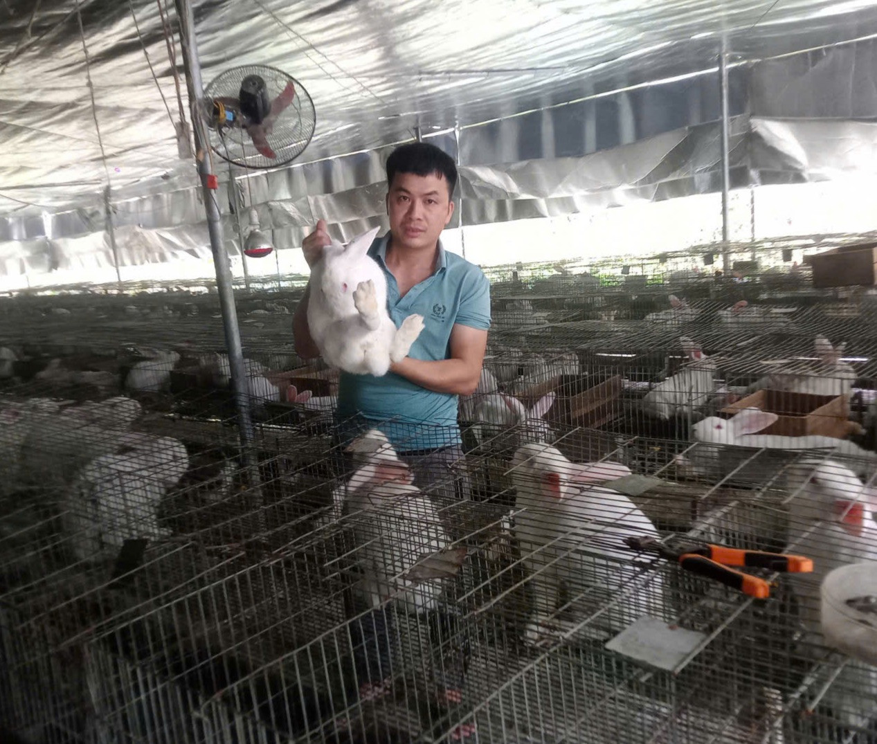 Phạm Hồng Sơn tại mô hình nuôi thỏ của gia đình.