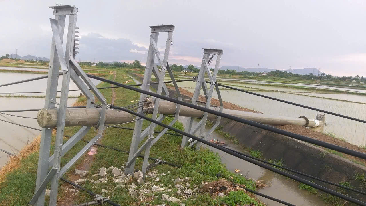 Hàng loạt cột điện bị đổ, gãy