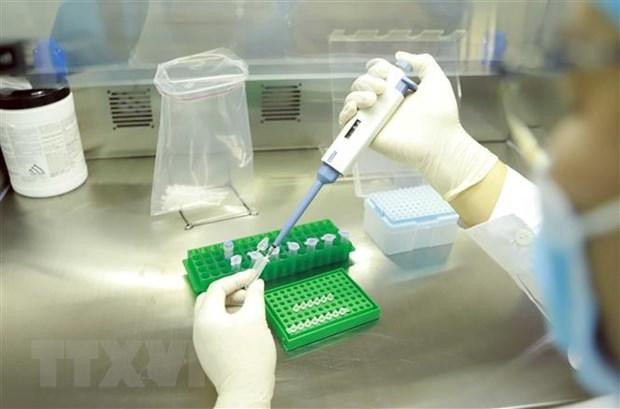 Ảnh minh họa. (Nguồn: Hoàng Hùng/TTXVN)