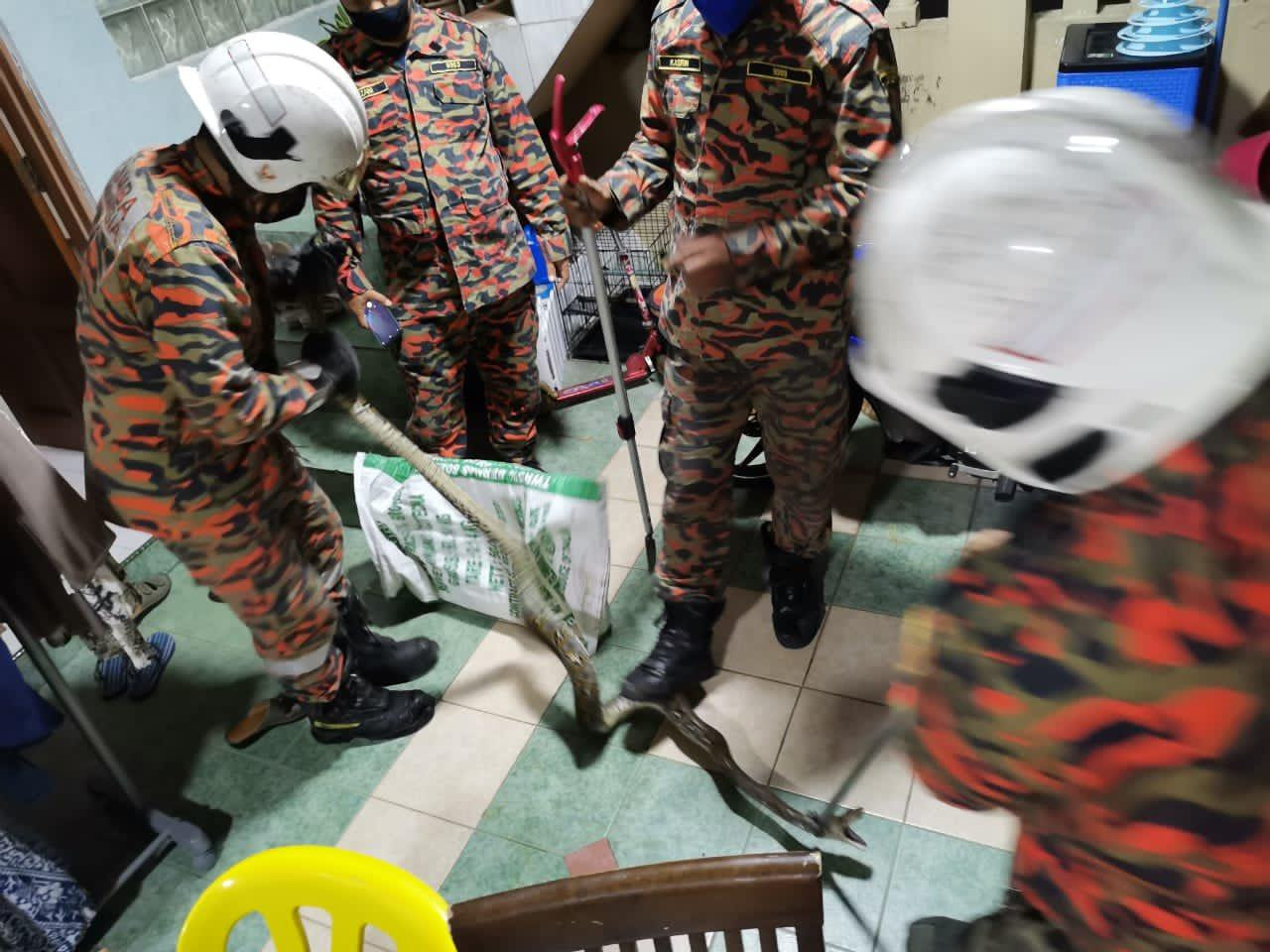 Ảnh: Twitter Ảnh: Twitter