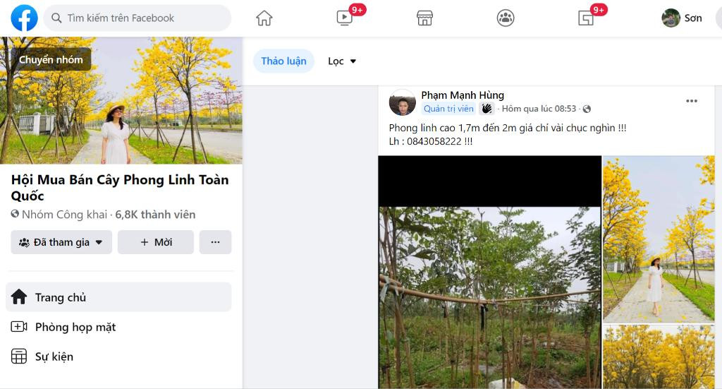 Trang chuyên mua bán cây phong linh mới lập ra được hơn 1 tuần đã thu hút đến gần 7 nghìn thành viên. Trang chuyên mua bán cây phong linh mới lập ra được hơn 1 tuần đã thu hút đến gần 7 nghìn thành viên.