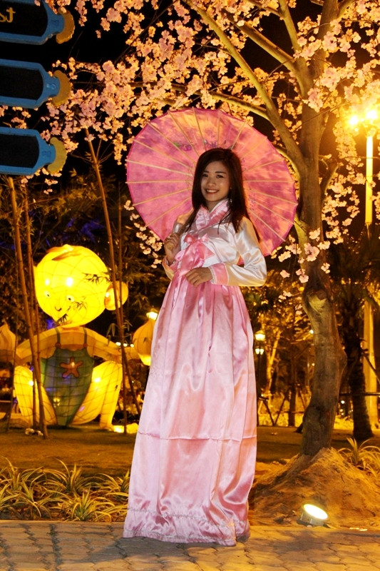 Hàng ngàn người trẩy hội hoa anh đào ở Đà Nẵng ảnh 7