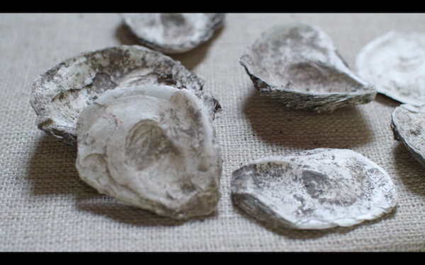 Đào vườn phát hiện biệt thự nghìn năm chứa kho báu ảnh 9